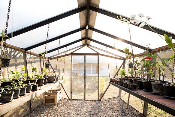 PASS_GREENHOUSE_BUILT_003.jpg